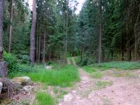  Blick auf die Wanderstrecke 