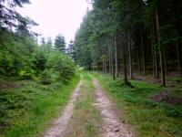  Blick auf die Wanderstrecke auf dem Pleberg 