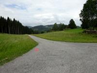  Blick auf die Wanderstrecke auf dem Pleberg 