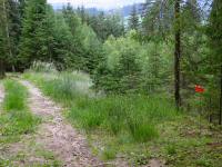  Wanderroute nach Nadelbach 