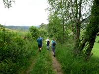  Wanderroute nach Weitersfelden 