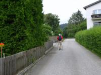 Blick auf die Wanderstrecke am Ortsend von Weitersfelden 