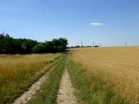  Blick auf die Wanderstrecke 