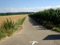  Wanderroute durch die Riede "Gewend" 