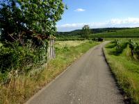  Wanderroute durch die Riede "Zwischengraben" 