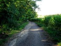  Wanderroute nach Glaubendorf 