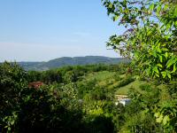 schner Fernblick zum Leopoldsberg und zum Kahlenberg 