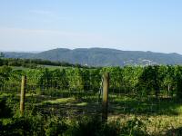 nochmals der schner Fernblick zum Leopoldsberg und zum Kahlenberg 