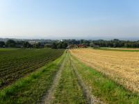  Wanderroute nach Pfaffing 