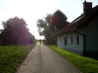  Blick auf die Wanderstrecke in Pfaffing 