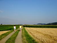  Wanderroute auf der Pfaffinger Hhe 