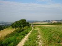  Wanderroute auf der Pfaffinger Hhe 