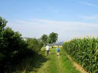  Wanderroute auf der Pfaffinger Hhe 