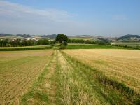  Wanderroute nach Hafnerbach 