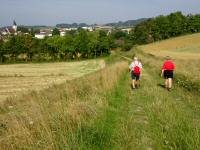  Wanderroute am Schafberg nach Hafnerbach 