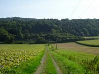  Wanderroute durch die Riede Rotenbhel 