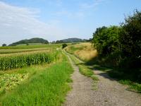  Wanderroute nach Eichberg (Am Rotenbhel) 