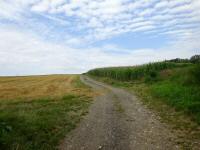  Wanderroute auf den Kahlenberg 