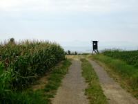  Wanderroute auf den Kahlenberg nach Korning 