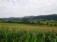 der schne Blick zurck zur Burgruine Hohenegg und nach Stein-Eichberg 