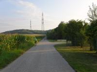 Blick auf die Wanderstrecke am Ortsende von Etzersdorf 