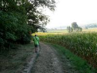  Wanderroute am Rande der Riede "Weingartfeld" 