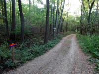  Wanderroute auf dem Jakobsweg 