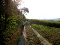  Blick auf die Wanderstrecke 