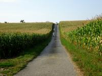  Blick auf die Wanderstrecke 