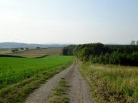  Blick auf die Wanderstrecke bergab vom Hausberg 