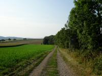  Blick auf die Wanderstrecke 