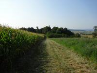  Blick auf die Wanderstrecke 