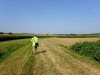  Wanderroute nach Rapoltendorf 