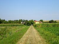  Wanderroute nach Rapoltendorf 