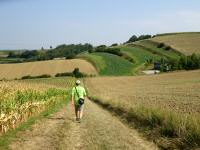  Wanderroute durch die Riede Stierschweiffeld 