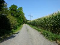  Wanderroute auf den Halterberg 