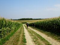  Wanderroute auf den Halterberg 