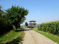  Blick zur Andreas-Friedens-Warte auf dem Halterberg 