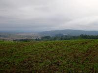  schner Fernblick zum Schloss Sitzenberg 