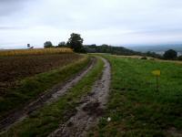  Wanderrroute auf dem Nasenberg 