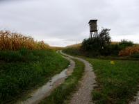  Wanderrroute auf dem Nasenberg 