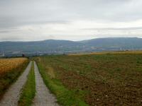  Wanderroute durch die Riede Zachling 