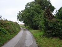  Wanderroute ber die Waldlesbergerstrae 