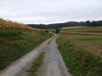 Wanderroute auf der Waldlesbergerstrae durch die Riede "Auf der Tanne"