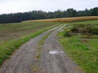  Wanderroute durch die Riede "Auf der Tanne" 