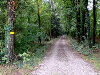  Wanderroute durch die Waldriede "Tannenleiten" 