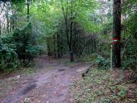  Wanderroute durch die Waldriede "Tannenleiten" 