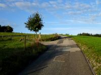  Wanderroute auf dem Gterweg Maierhofer 