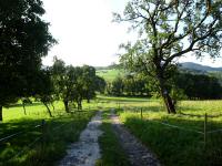  Blick auf die Wanderstrecke 