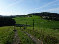 Blick auf die Wanderstrecke und zur Gehftgruppe Goin 